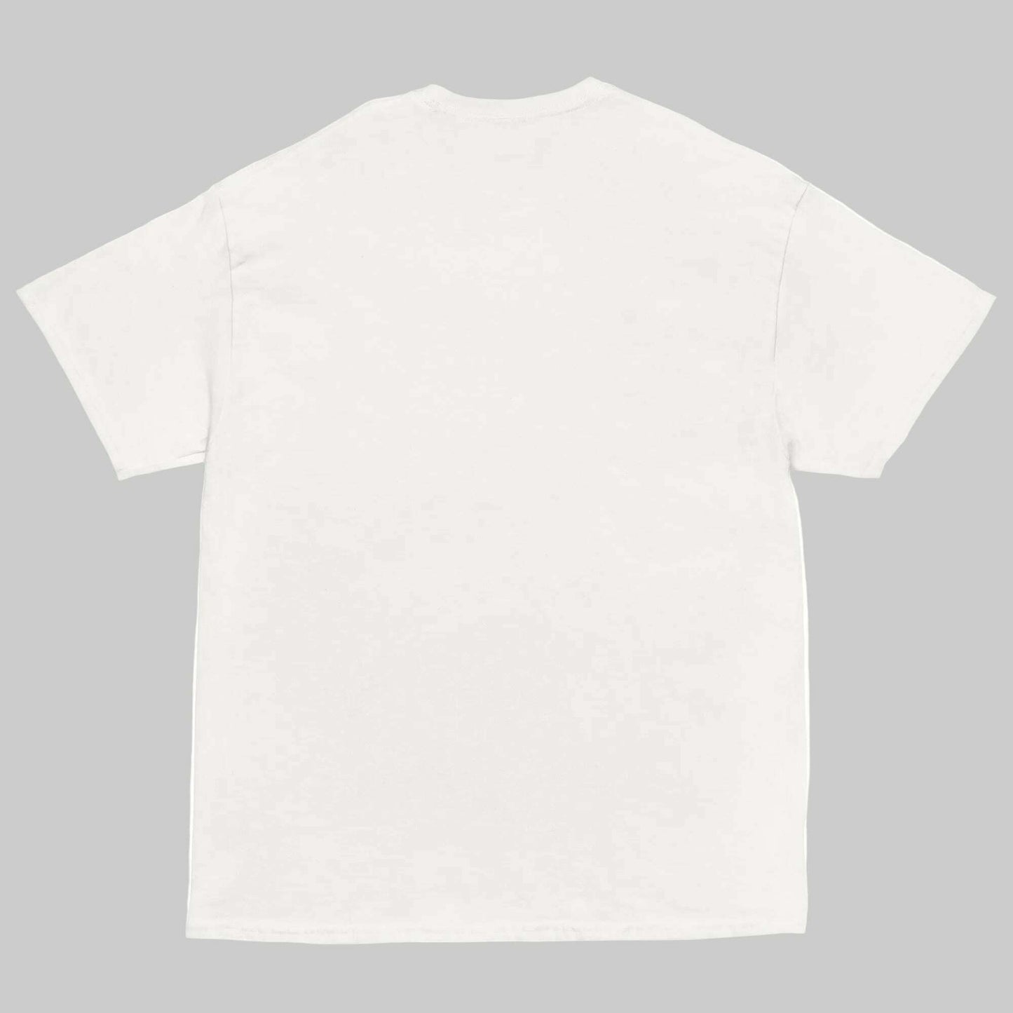 T-shirt_Divorce_Party_Support_Team_blanc_vue_dos