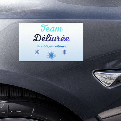 Magnet_Team_D_livr_e_sur_voiture_usage_ext_rieur