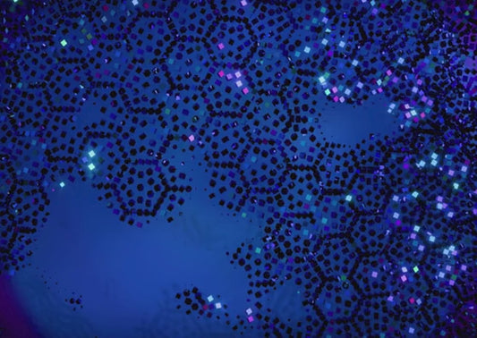 Carte cadeau Party Promise valable pour tous les montants – envoyée par e-mail
